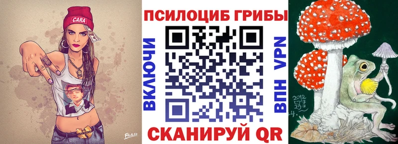 Купить где Перевоз Псилоцибиновые грибы мухоморы